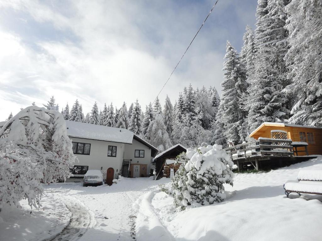 Apartmán Ferienhaus Hollinger Verditz Exteriér fotografie